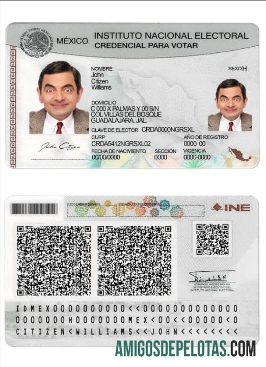 Instituto Eleitoral Nacional do México exemplo